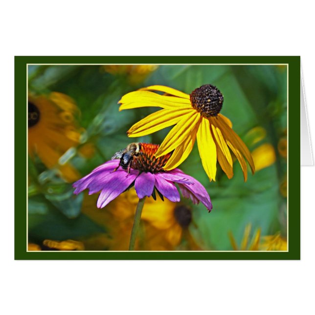 Bee and Blossoms Cards (Front Horizontal)