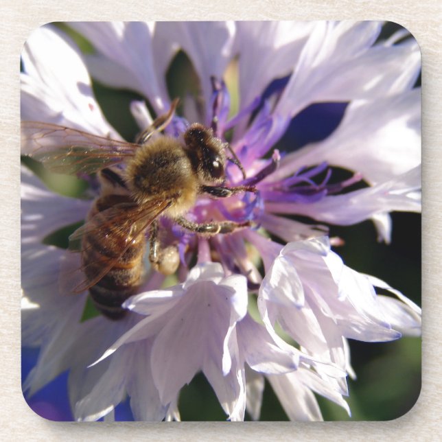 Bee and Blue Flower Drink Coaster (Front)