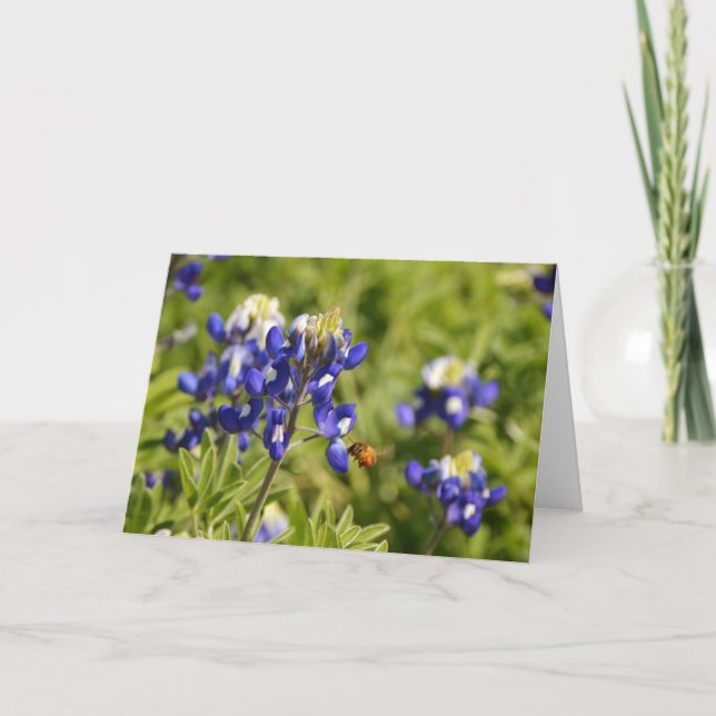 Bee and Bluebonnets Scripture Card 2 Peter 1:5-8 (Front)