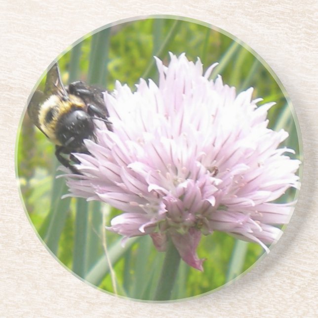 Bee and Chive flower Drink Coaster (Front)