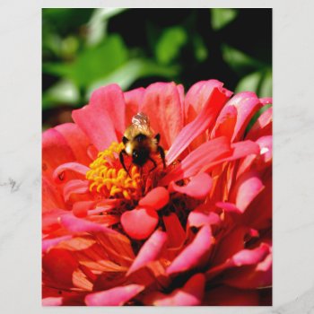 Bee And Coral Zinnia by Omtastic at Zazzle