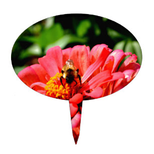 Bee and coral zinnia cake topper