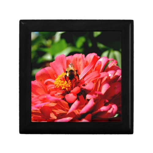 Bee and coral zinnia gift box