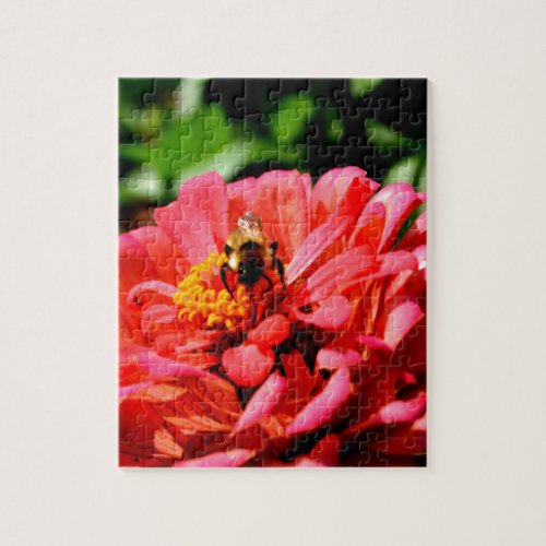 Bee and coral zinnia jigsaw puzzle