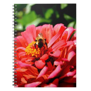 Bee And Coral Zinnia Notebook by Omtastic at Zazzle