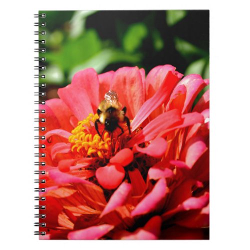 Bee and coral zinnia notebook