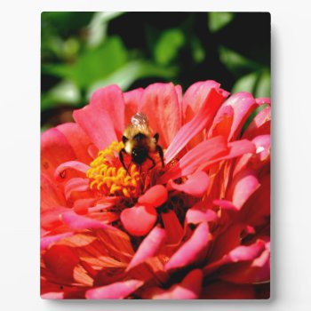 Bee And Coral Zinnia Plaque by Omtastic at Zazzle
