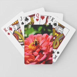 Bee and coral zinnia playing cards