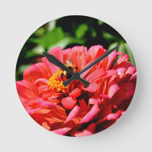 Bee and coral zinnia round clock