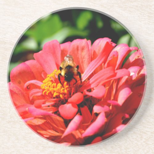 Bee and coral zinnia sandstone coaster