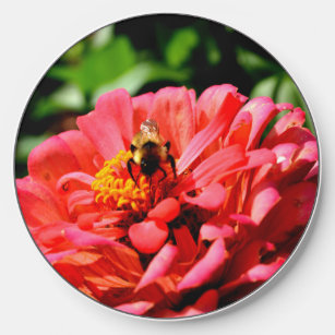 Bee and Coral Zinnia  Wireless Charger