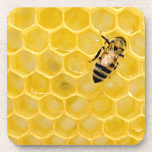 bee and honeycomb beverage coaster