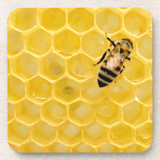 bee and honeycomb beverage coaster (Front)