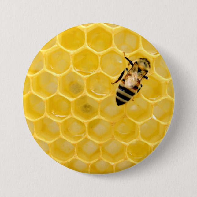 bee and honeycomb button (Front)
