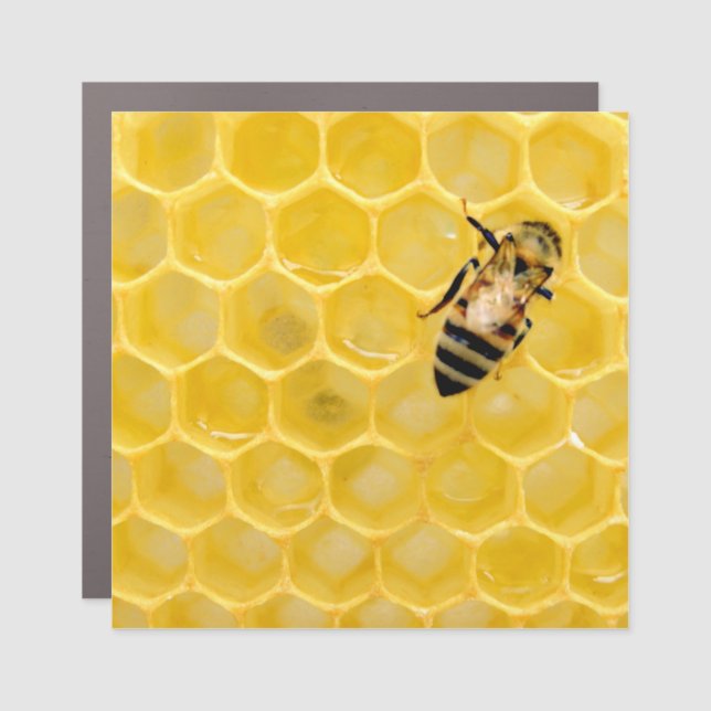 bee and honeycomb car magnet (Front)