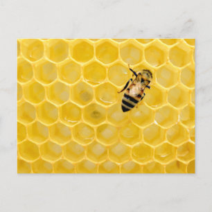bee and honeycomb holiday postcard