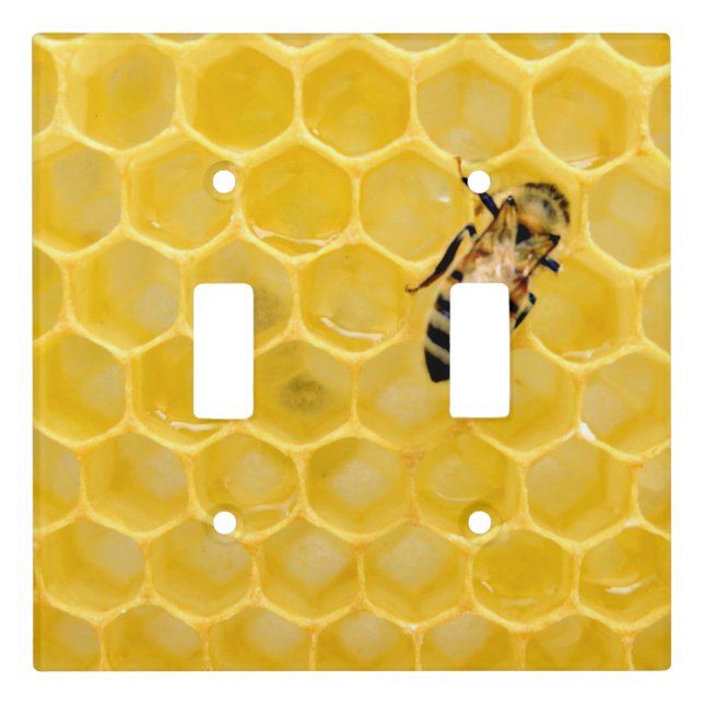 bee and honeycomb light switch cover (Front)
