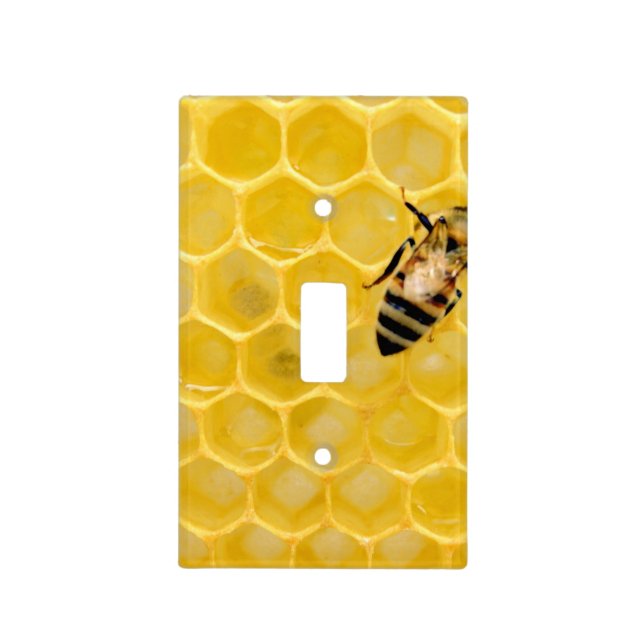 bee and honeycomb light switch cover (Front)