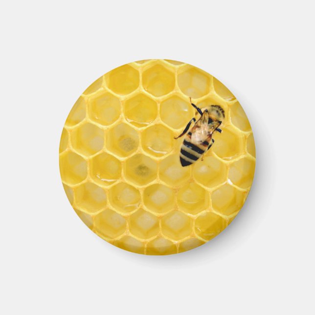 bee and honeycomb magnet (Front)