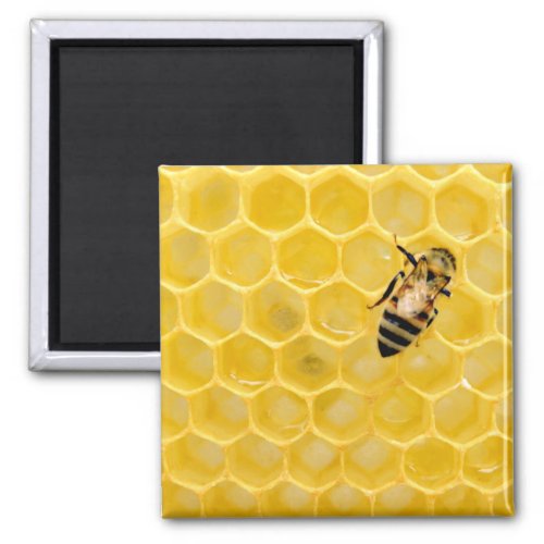 bee and honeycomb magnet