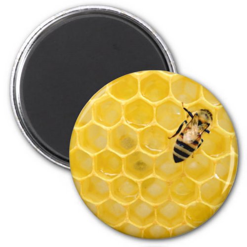bee and honeycomb magnet