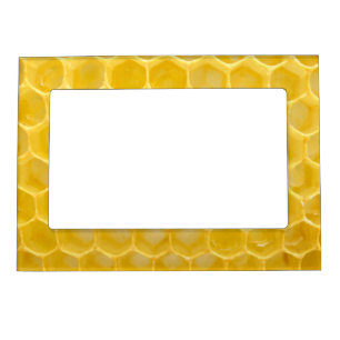 bee and honeycomb magnetic frame