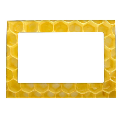 bee and honeycomb magnetic frame