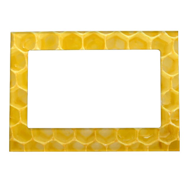 bee and honeycomb magnetic frame (Front)