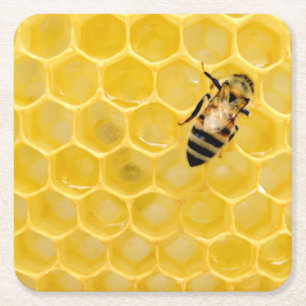 bee and honeycomb square paper coaster