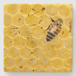 bee and honeycomb stone coaster