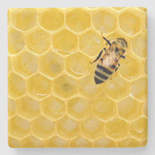 bee and honeycomb stone coaster