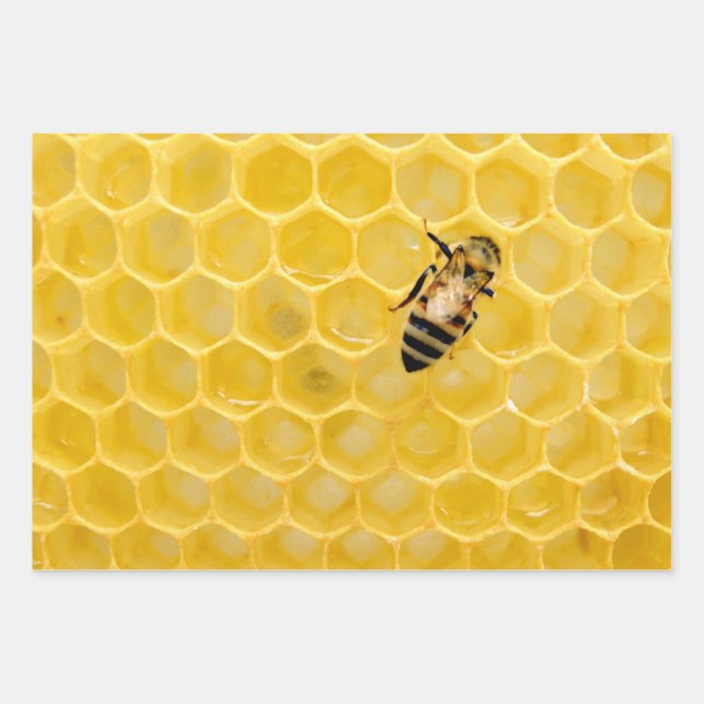 bee and honeycomb wrapping paper sheets (Front)