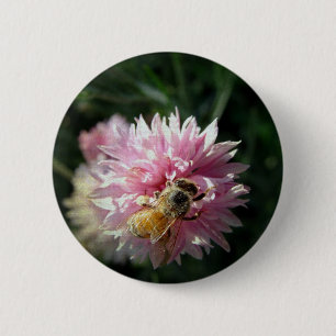 Bee and Pink Flower Pinback Button