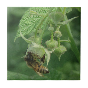 Bee and Raspberry Flowers Ceramic Tile