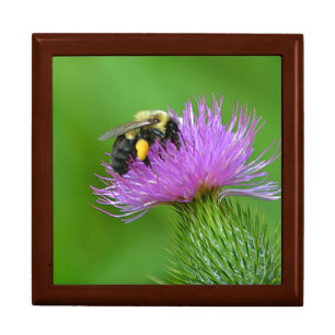 Bee and Thistle Large Gift Box