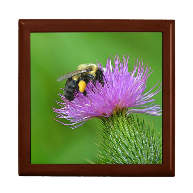Bee and Thistle Large Gift Box (Front)