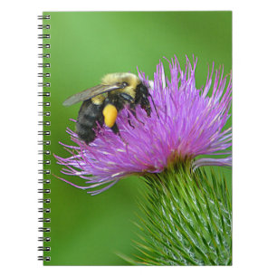 Bee and Thistle Notebook