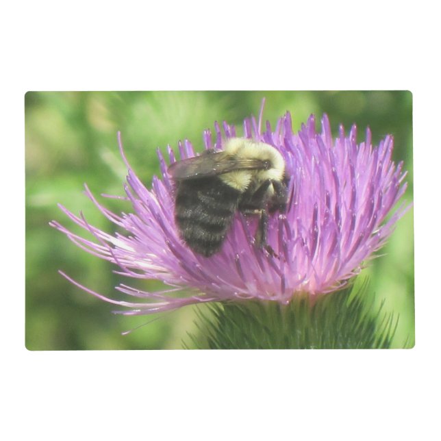 Bee and Thistle Placemat (Front)
