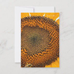 Bee Antennas & Sunflower  Note Card