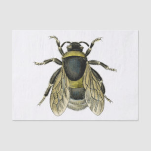 Bee Antique Illustration Yellow and Black Wings Tissue Paper
