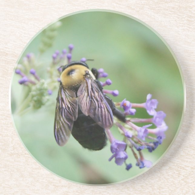 Bee-autiful Bee Coaster (Front)