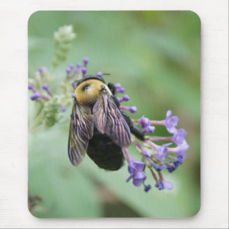 Bee-autiful Bee Mouse Pad