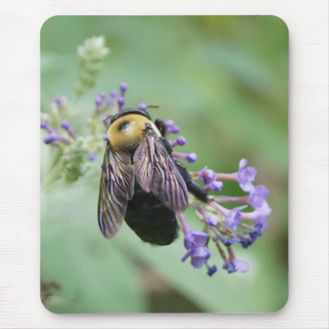 Bee-autiful Bee Mouse Pad (Front)