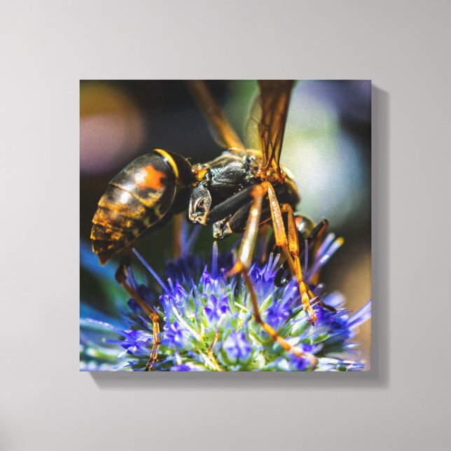 Bee Aware 12" x 12", 1.5", Single Wrapped Canvas Print (Front)