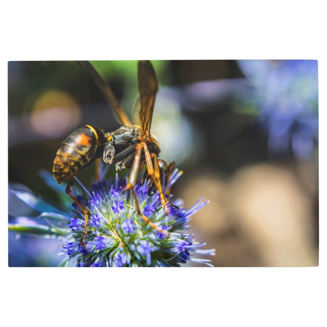 BEE AWARE 36 X 24 METAL ART PRINT (Front)