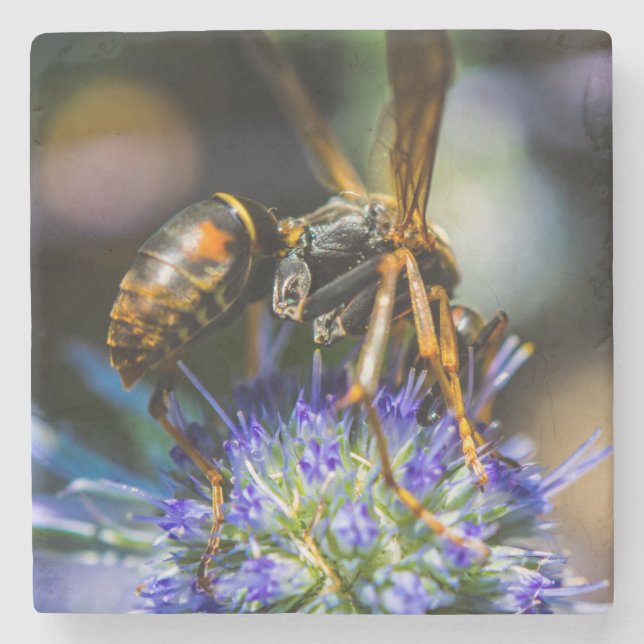 Bee Aware Marble Stone Coaster (Front)