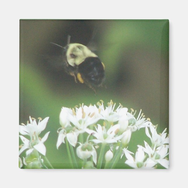 Bee Away Magnet (Front)