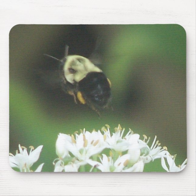 Bee Away Mouse Pad (Front)