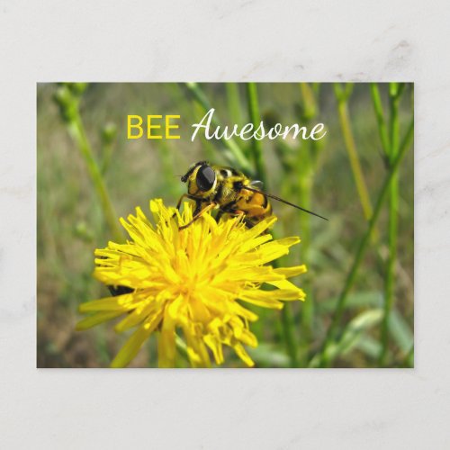 Bee Awesome Bumble Bee Dandelion Flower Postcard