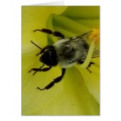 BEE AWESOME - CHRISTIAN GREETING (Front)